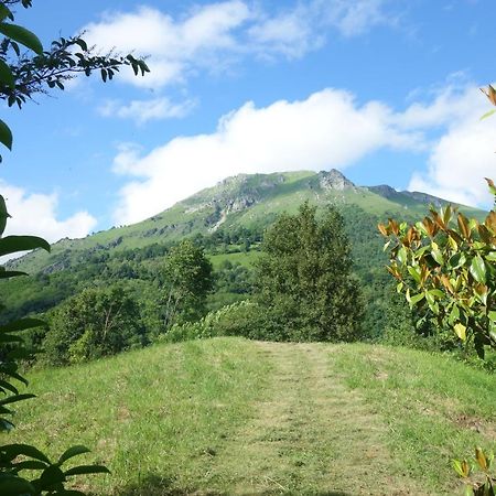 Gite Montagne Et Vie Bedous Zewnętrze zdjęcie
