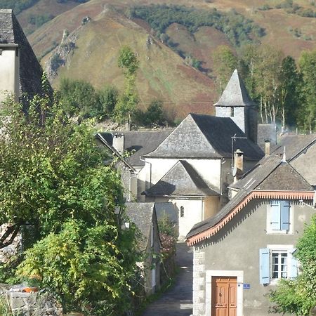 Gite Montagne Et Vie Bedous Zewnętrze zdjęcie