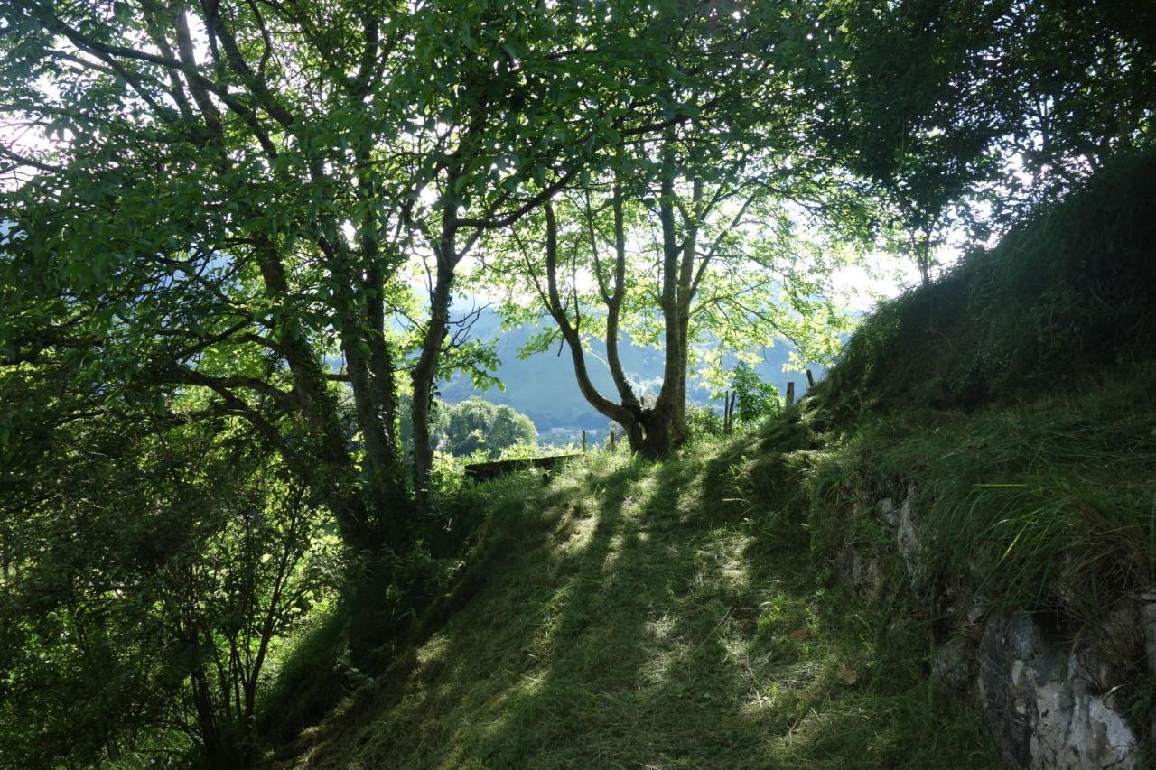Gite Montagne Et Vie Bedous Zewnętrze zdjęcie
